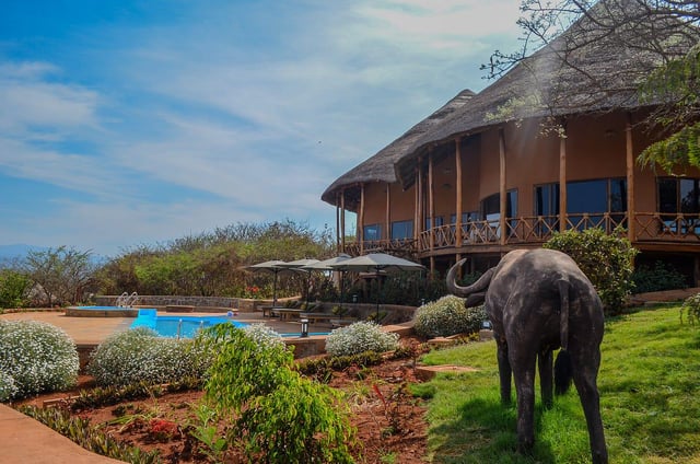 How a social enterprise in Tanzania became the sustainable economic engine for its nonprofit and NGO